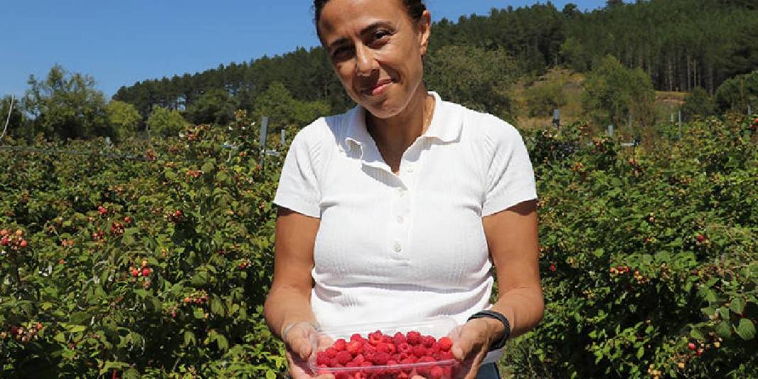 Sektör değiştirdi, sağlıktan tarıma geçiş yaptı! Topraktan gelen başarı: O üretiyor organik tüketiliyor 4
